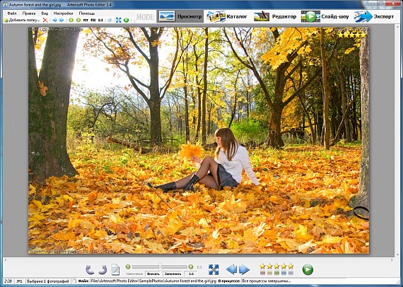 Редактор фотографий, главное окно приложения. Режим просмотра.